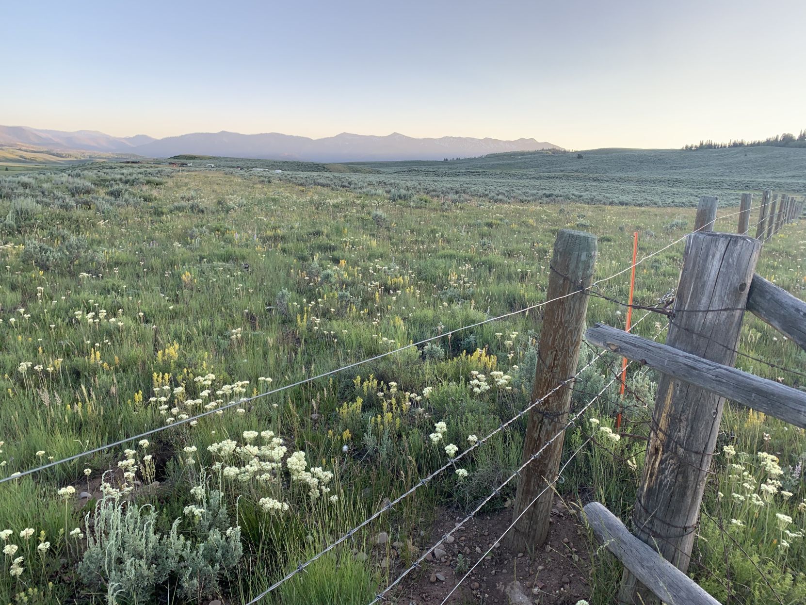 Jackson Fork Ranch